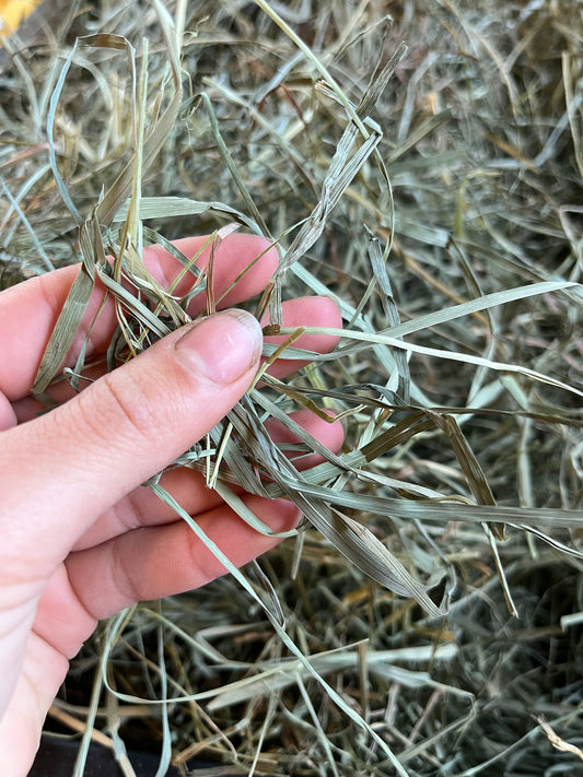 Hay Sampler Box