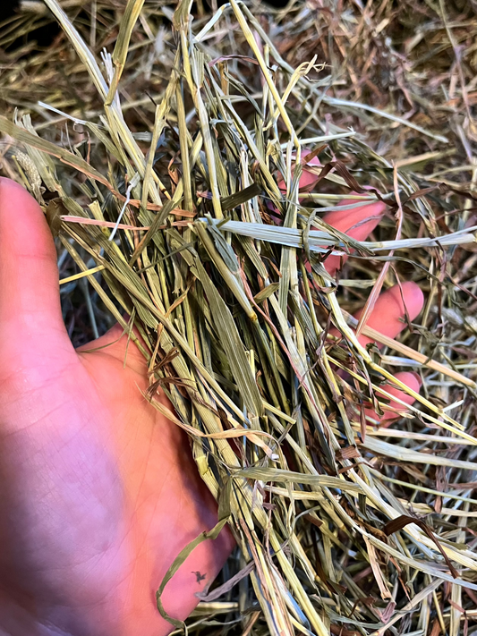 Organic Canadian Timothy Hay